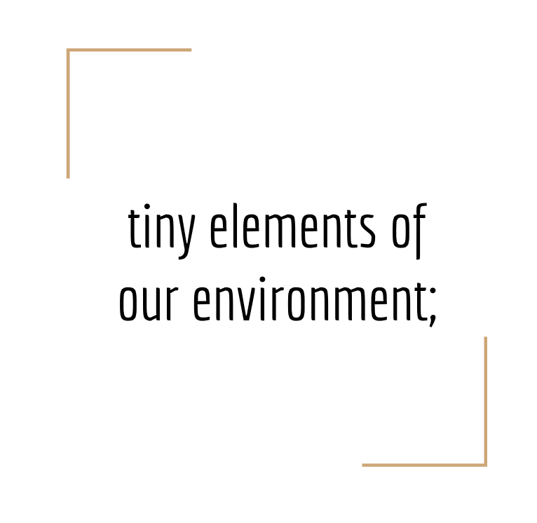 tiny elemets of our environment